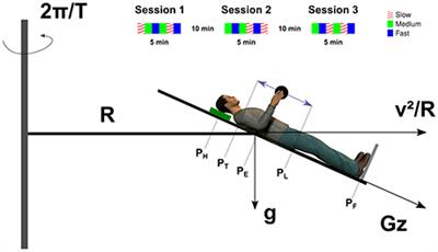 Coherent Multimodal Sensory Information Allows Switching between Gravitoinertial Contexts